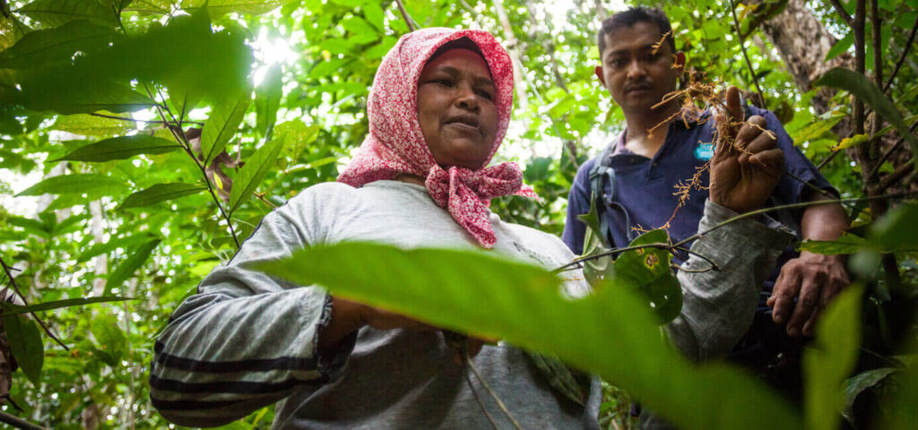 Woman holding up plant, man next to her, in forest.