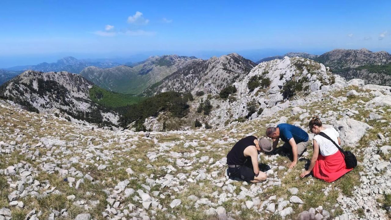 Three people on top of rocky mountain.