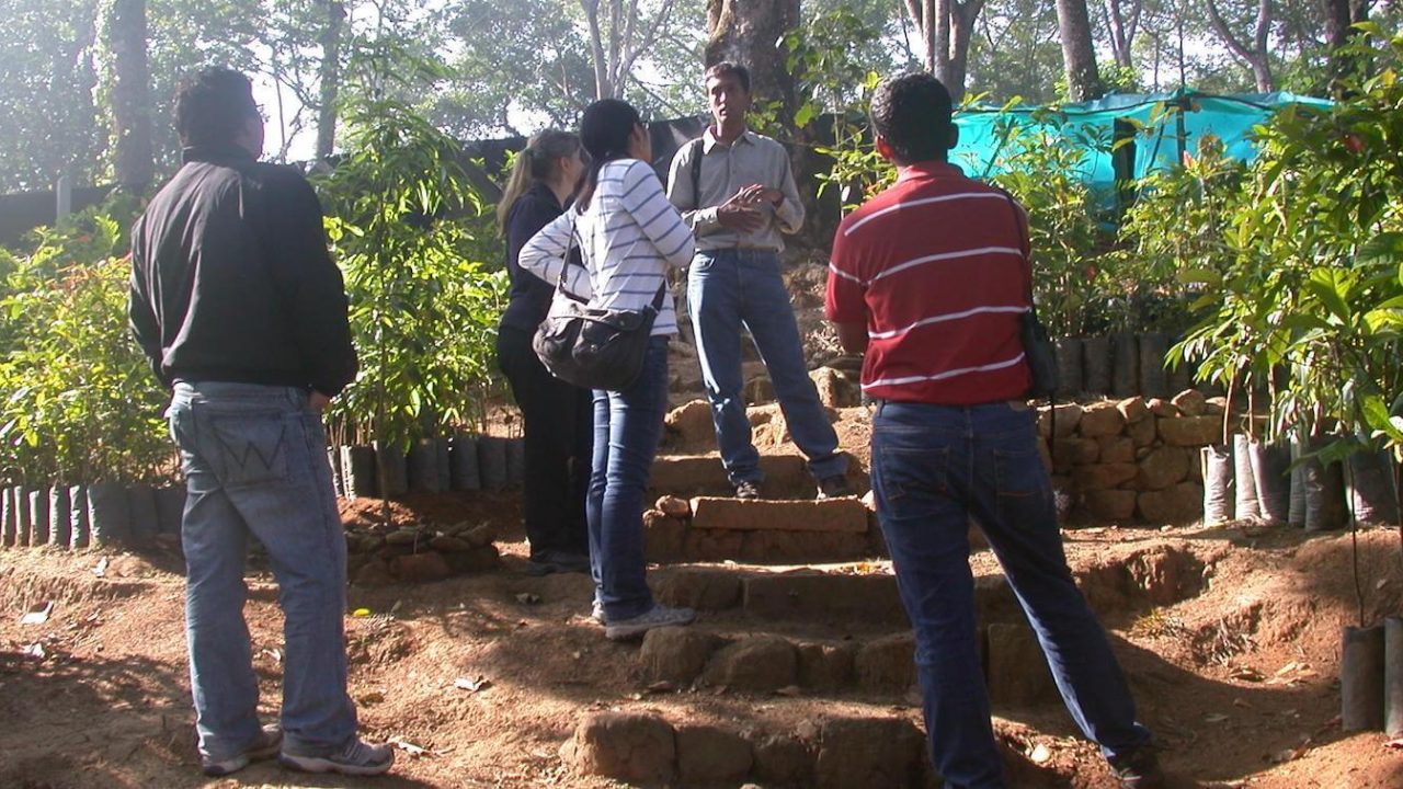 Five people stand amidst many potted plants.