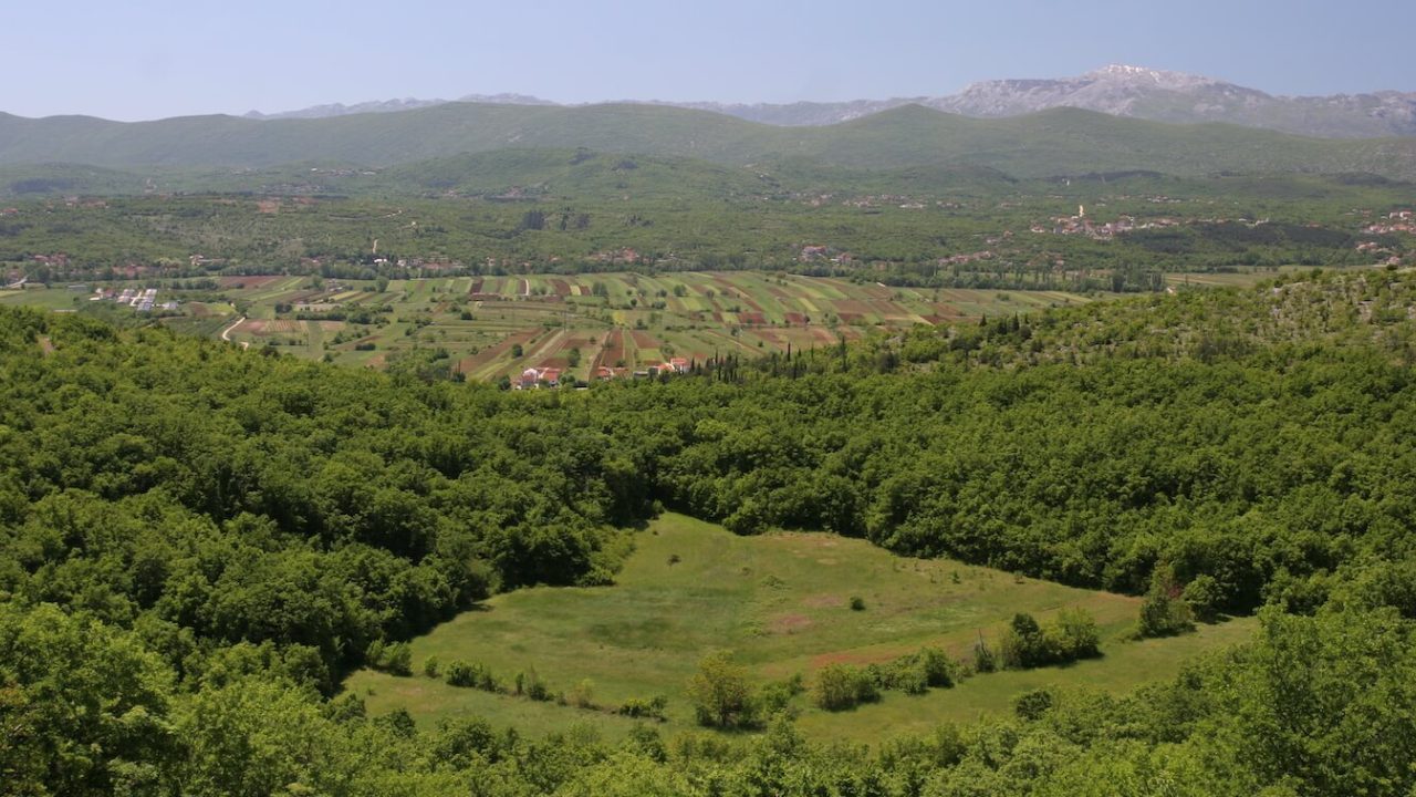 Green valley, agriculture in background.