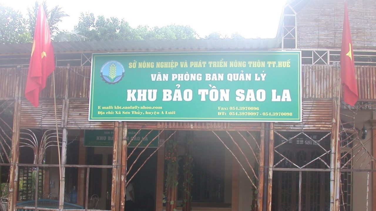Cartel grande en vietnamita.