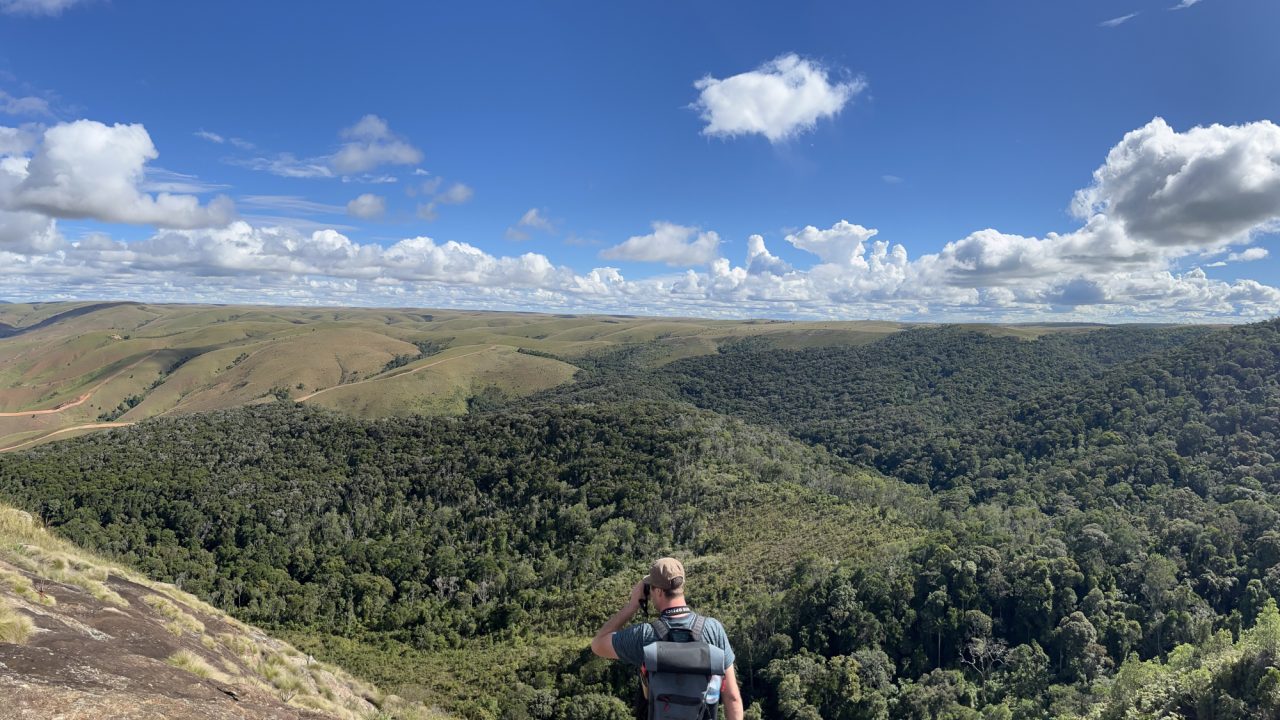 Ambohitantely Special Reserve