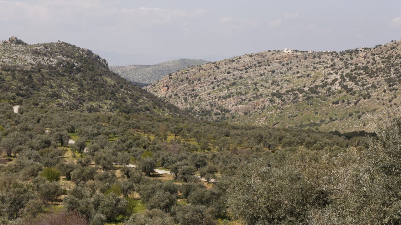 Ajloun KBA, Jordan.