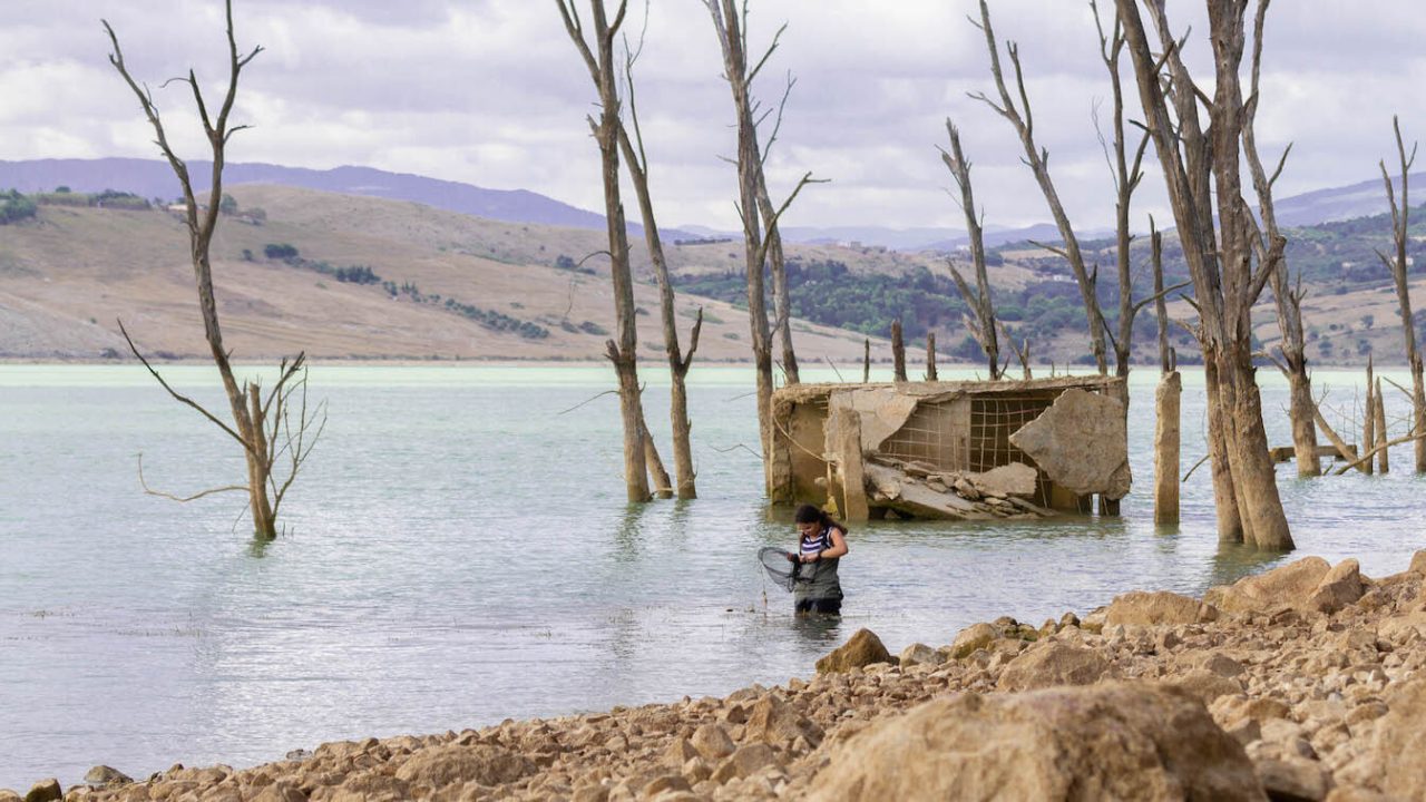 Woman standing in shallow water, looking into net she's holding above service.
