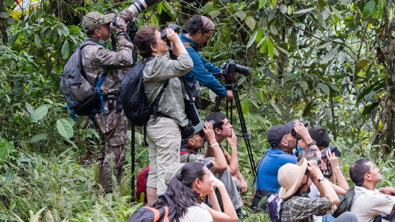 A handful of people looking up through binoculars.