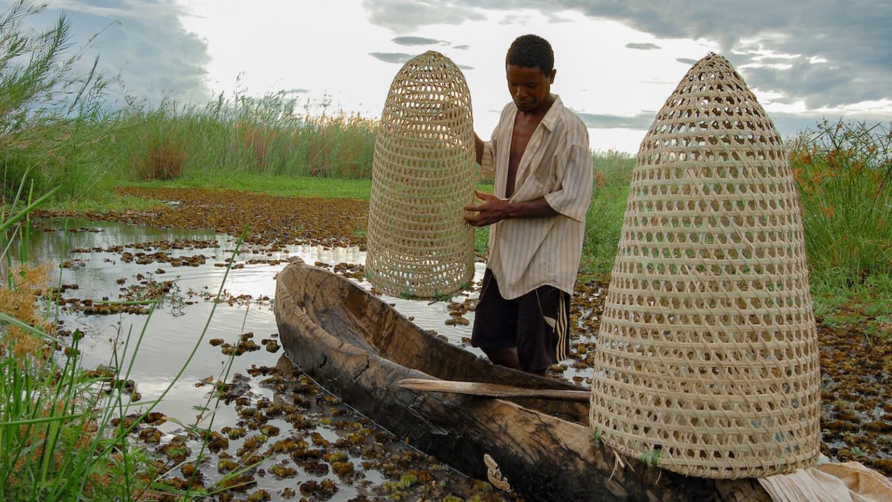Man standing next to canoe in shallow water that holds two cone-shaped fish traps.