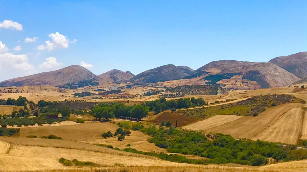 Cultural Landscape near Sejnane, Kroumirie, in Tunisia