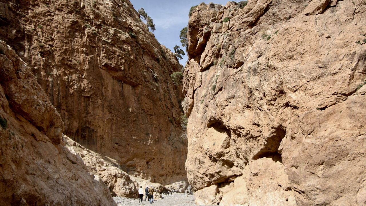 Joining the Reforestation Site of Association Haite-Moulouya during a CEPF field mission, Morocco.