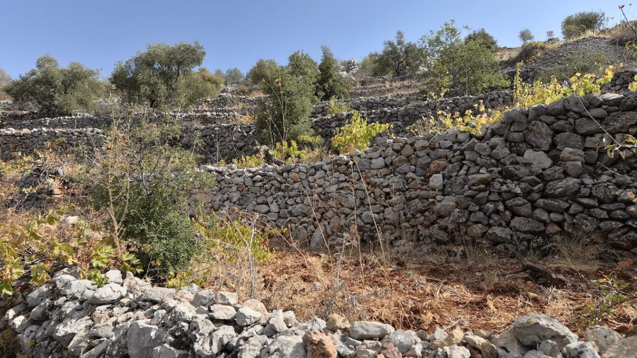 Several stone walls on hill.