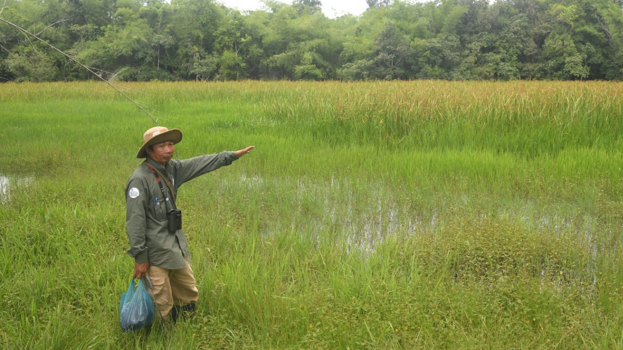 Man pointing out at wetland.