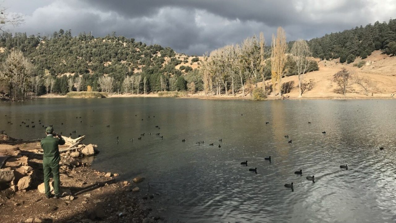 Ranger Monitoring Bird Population in Oum Rbia, Atlas Mountains, Morocco