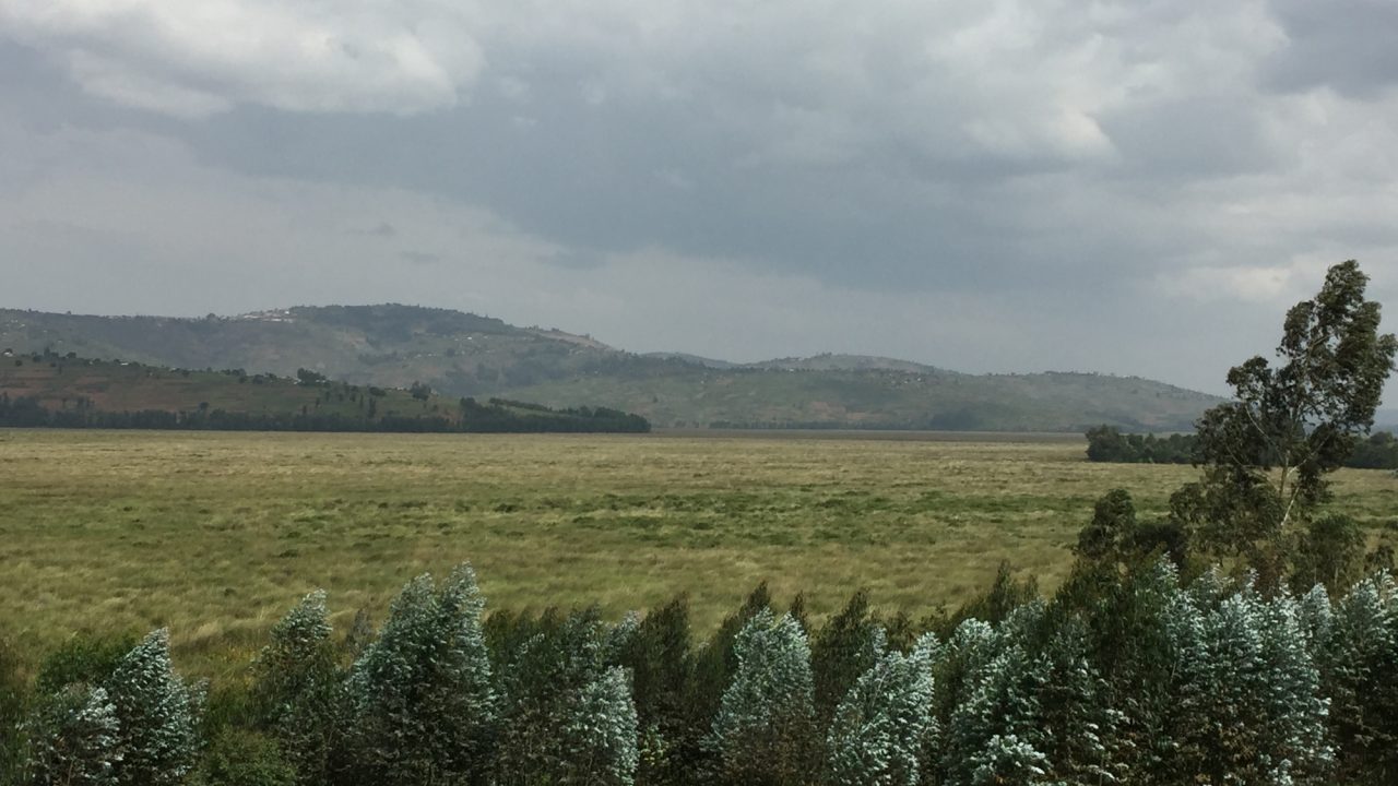Rugezi marsh under a cloudy sky