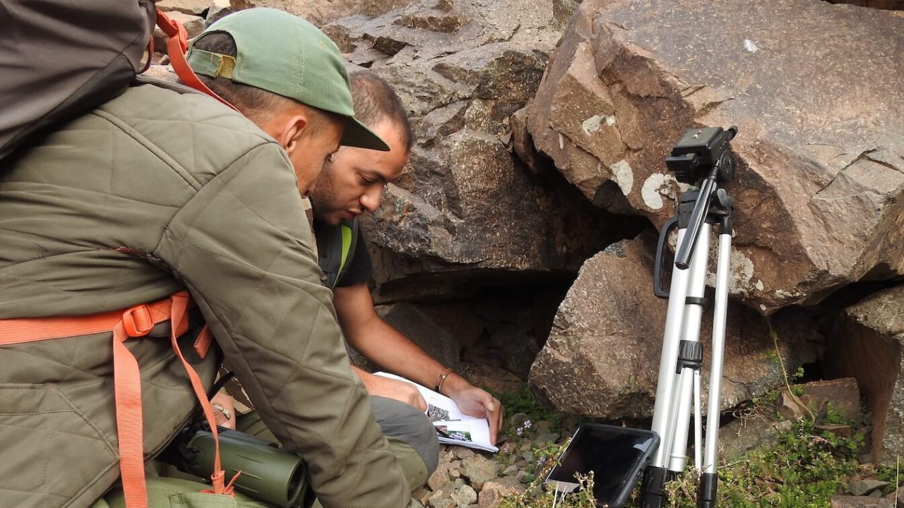 Two men crouching down near boulders, examining papers.