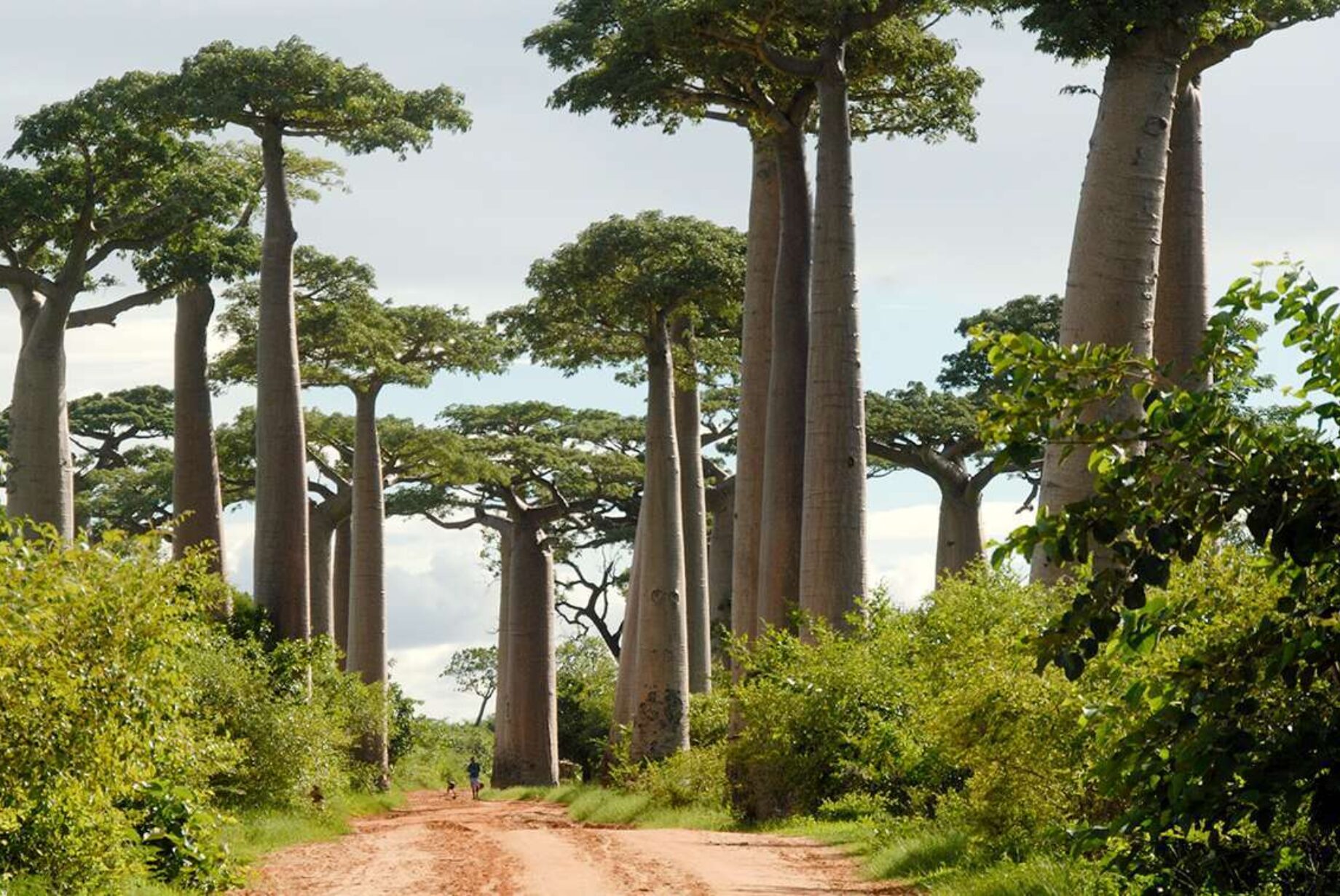 Protecting biodiversity by empowering people | CEPF