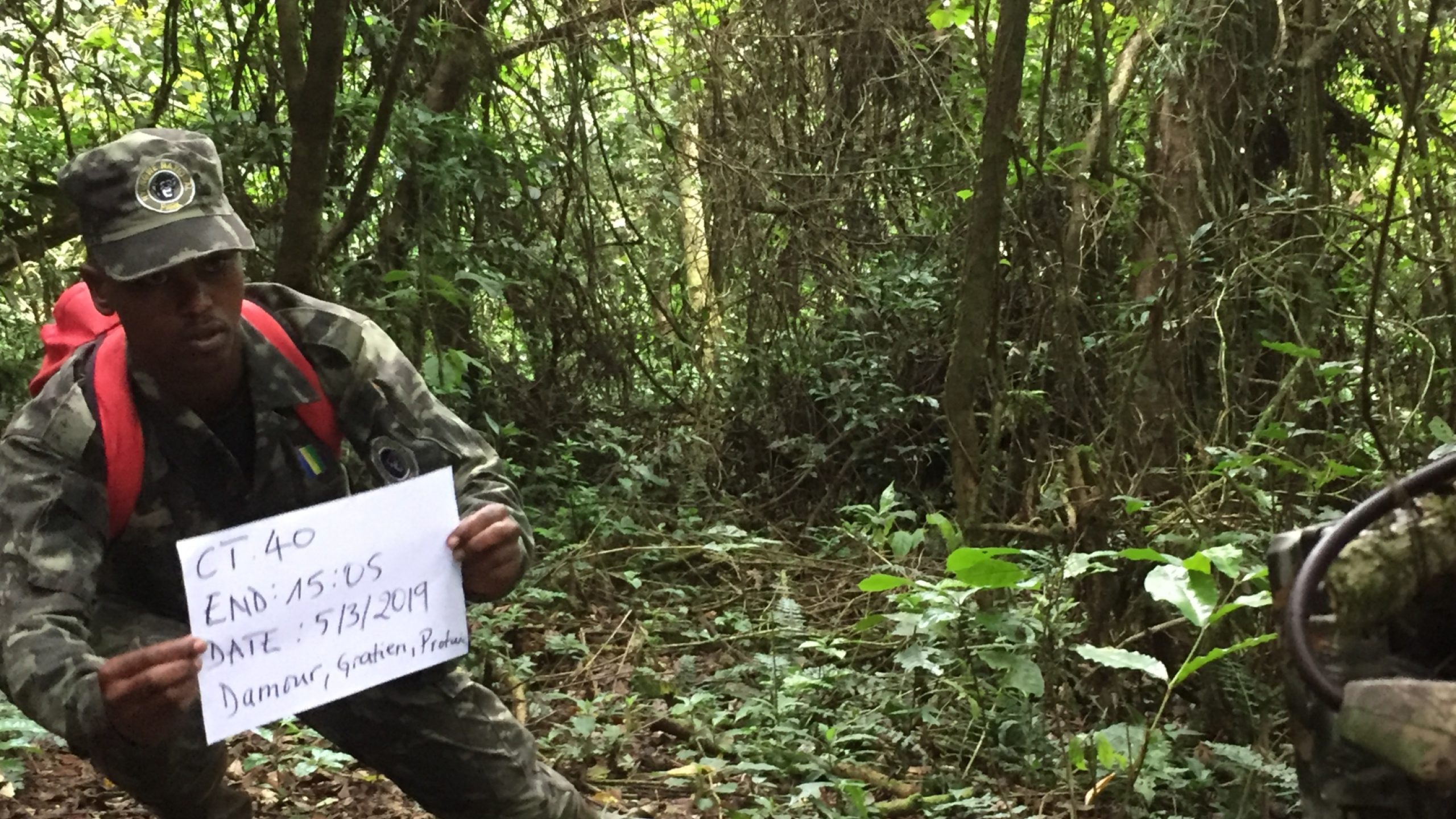 Reducing External Pressure and Improving Management of Nyungwe National ...