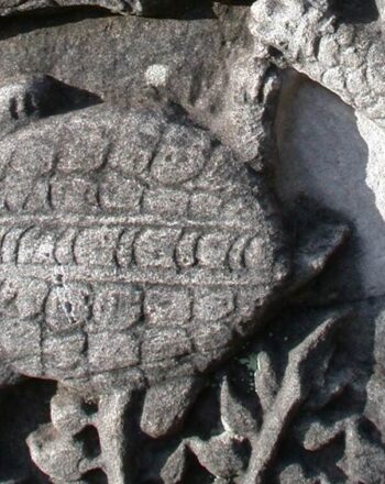 Turtle depicted on frieze.