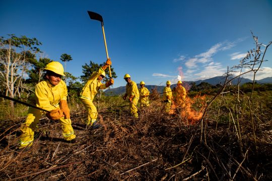 पीले रंग की दमकल वर्दी पहने एक छोटी टीम झाड़ियों में लगी छोटी सी आग को बुझाने के लिए औजारों का इस्तेमाल करने का अभ्यास कर रही है।