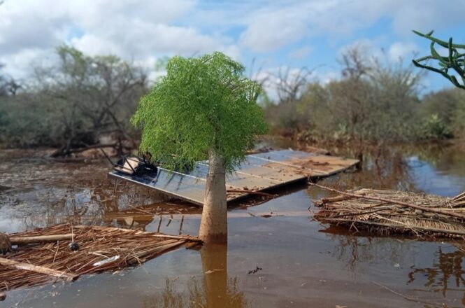Effect of flooding on Lavavolo Tortoise Center, Madagascar