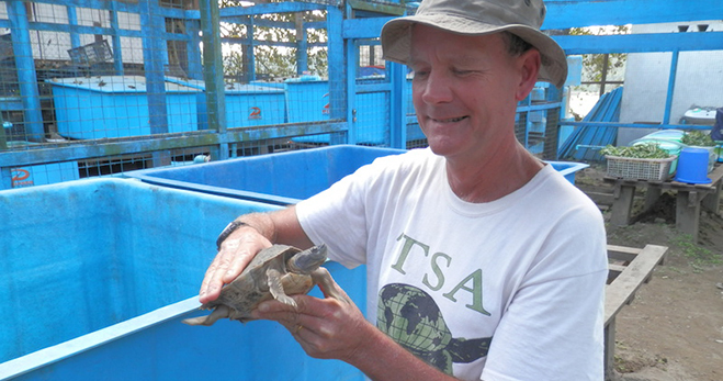 Steve Platt from the Turtle Survival Alliance/Wildlife Conservation Society​ holds a Myanmar roofed turtle.