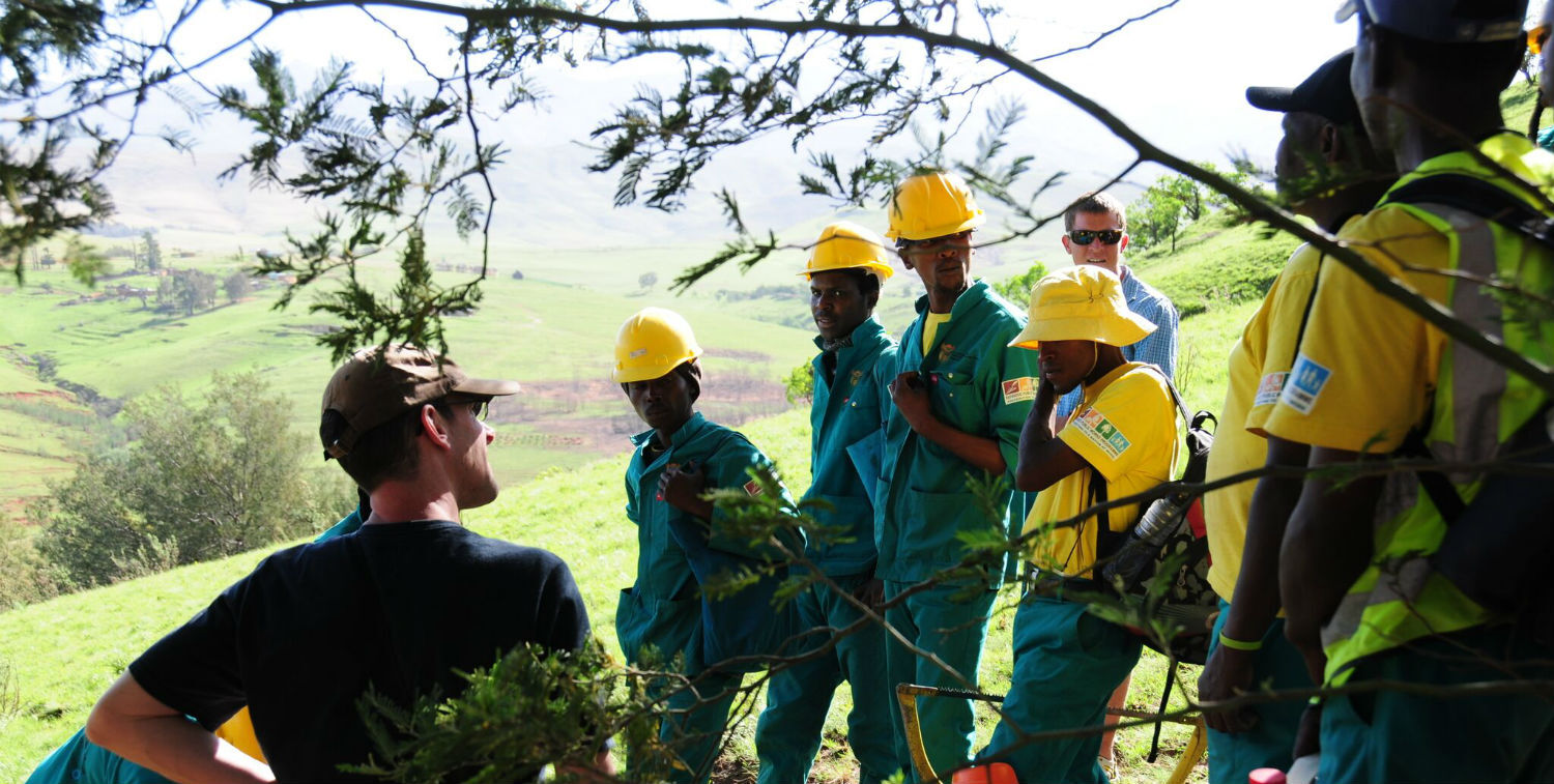 CEPF grantees greet community workers who have been removing invasive wattle trees near Ongeluksnek Nature Reserve.
