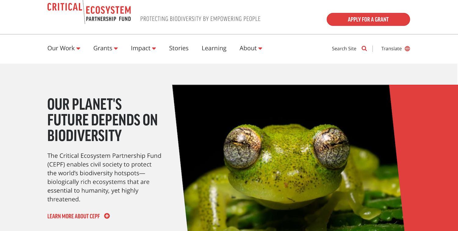 Image of CEPF website home page, including a photo of a green frog and description of CEPF.