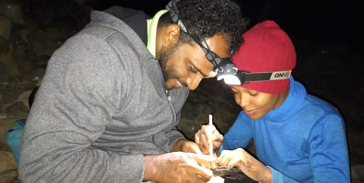 Close-up of man and woman outside at night observing something in man's hands.