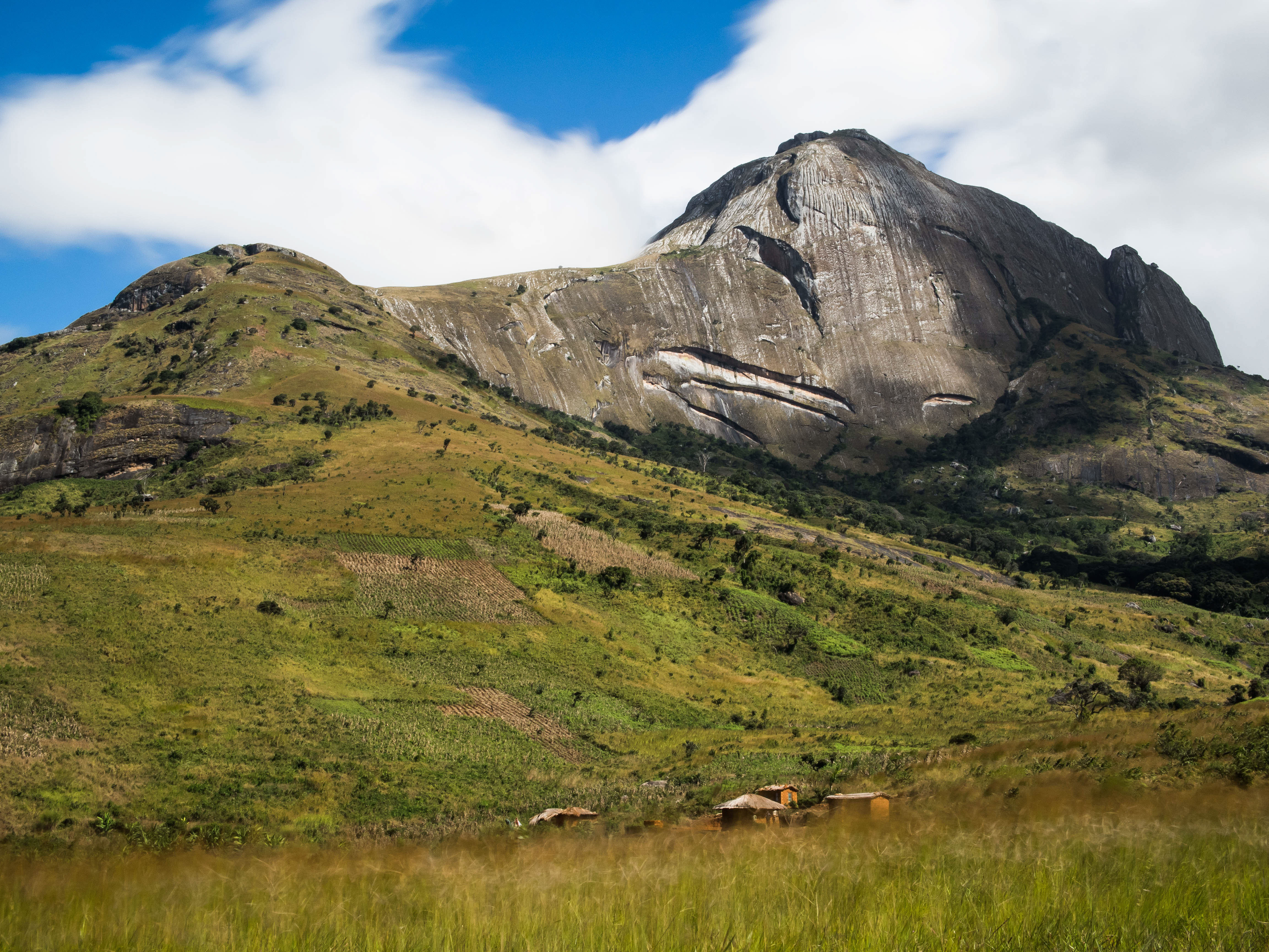 Mount Namuli, a Key Biodiversity Area