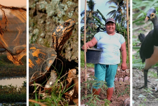 Young boy throwing fishing net. © Mattravel/Alamy Stock Photo; Eastern box turtle (Terrapene carolina carolina). Conservation International/photo by Peter Paul VanDijk; Syane Bulanbae of Ambela Village learns permaculture. Photo by IDEP Foundation; Maleo